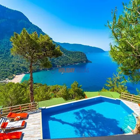 B&B The View