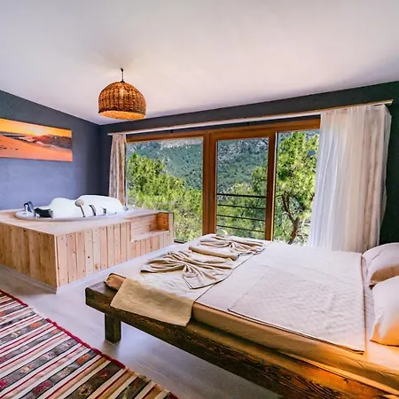 B&B The View