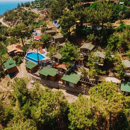 B&B The View 페티예
