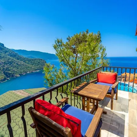 B&B The View *