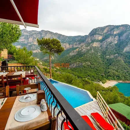 B&B The View *